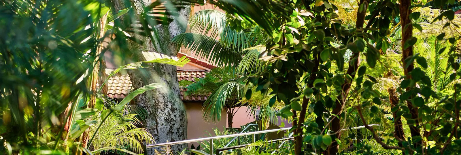 12 acres of greenery and flowers in bloom at Hotel Bel-Air